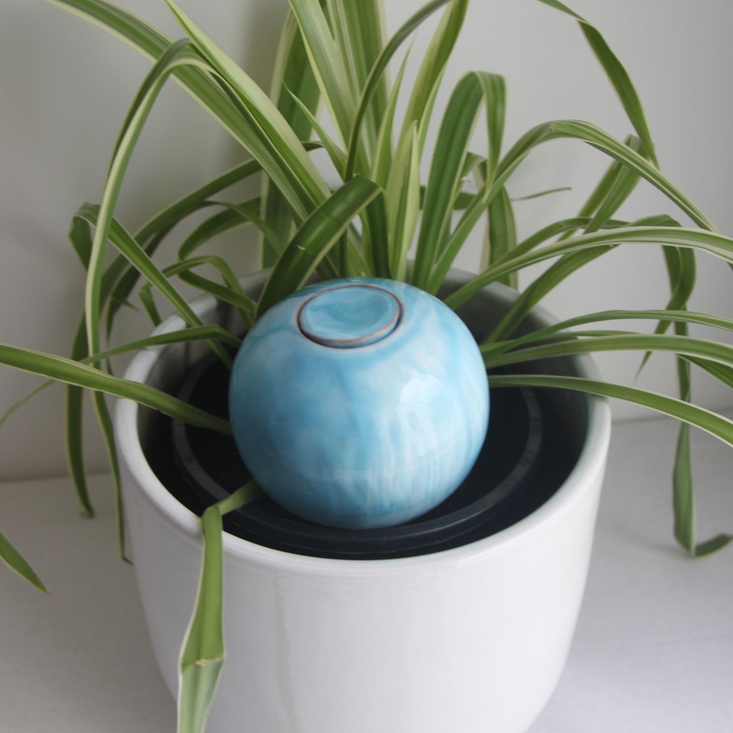 Ollas à Planter Marbre Acheter - Ollas Lutton - Diffuseur d'eau autonome