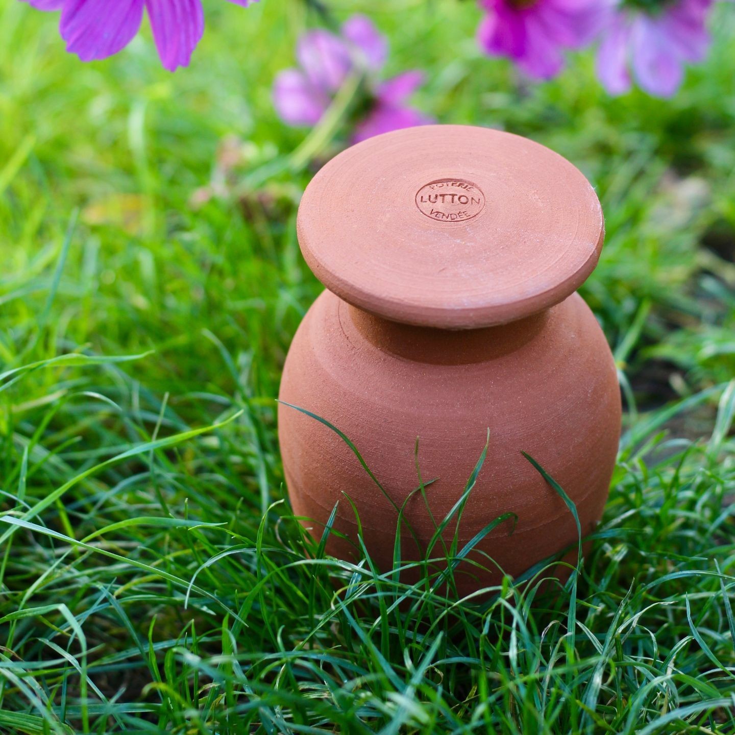 Ollas Jardinier à Enterrer irrigation autonomne