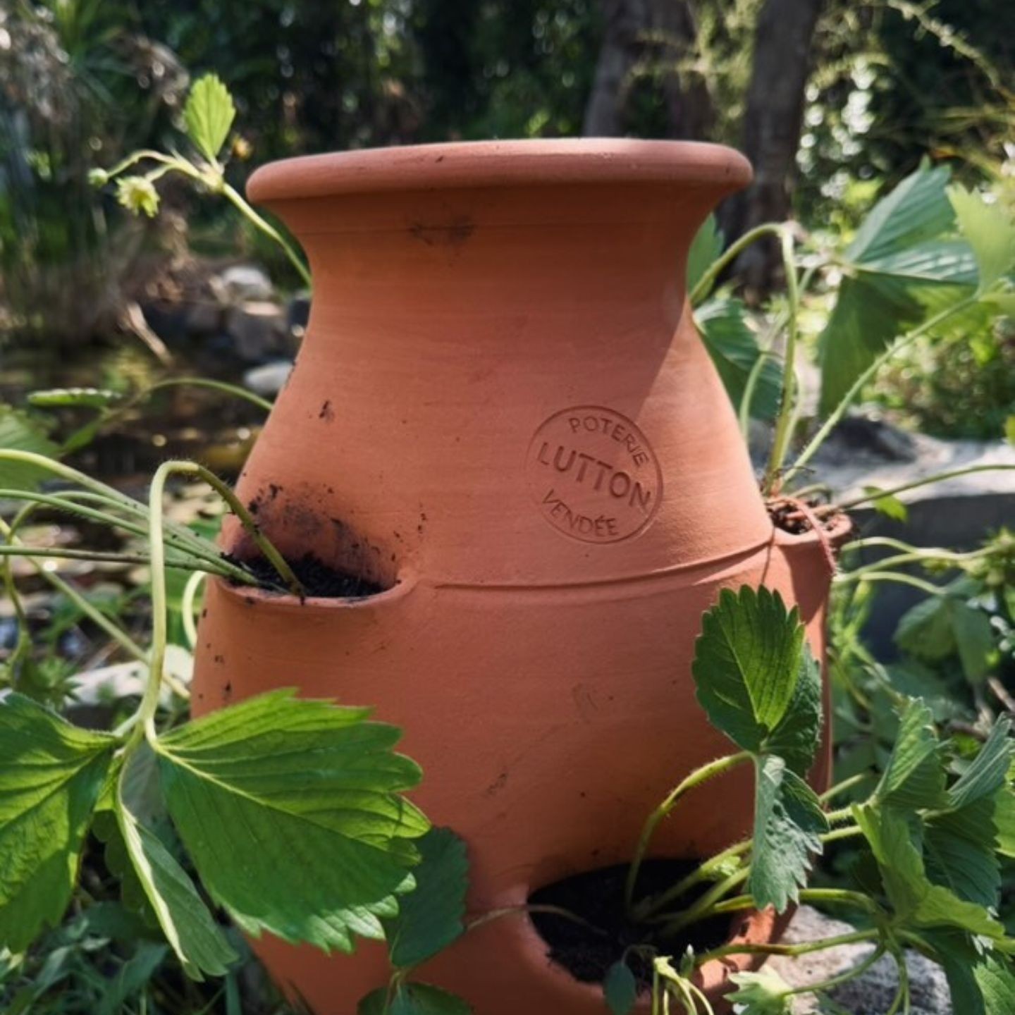 Tour à Fraisier en Poterie Fait Main -  Pour votre Jardin