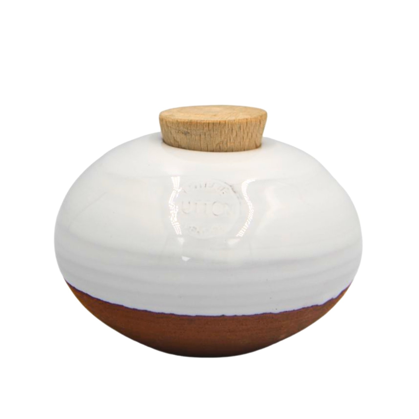 Ollas Galet : L'accessoire d’irrigation naturel pour vos plantes en pot