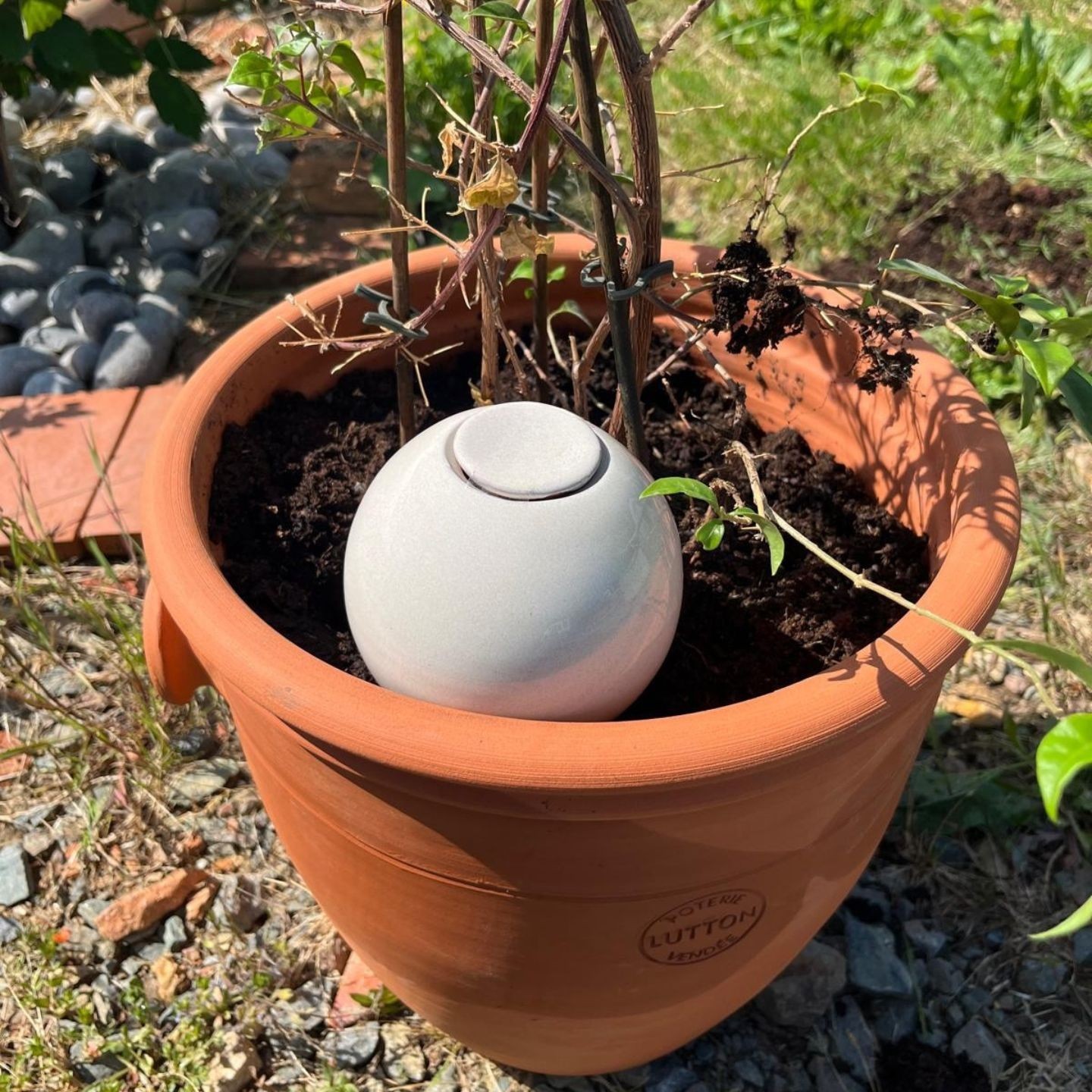 Ollas à Planter Métallique Acheter - Ollas Lutton - Diffuseur d'eau autonome