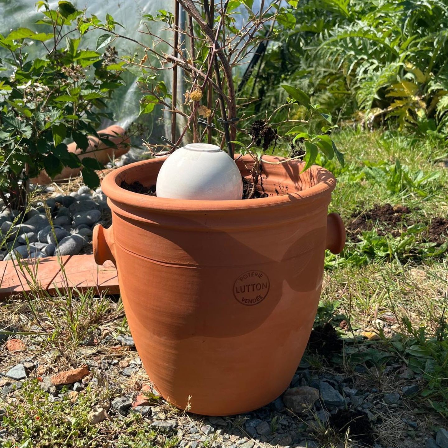 Ollas à Planter Métallique Acheter - Ollas Lutton - Diffuseur d'eau autonome