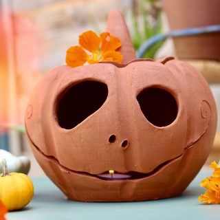 Citrouille en poterie