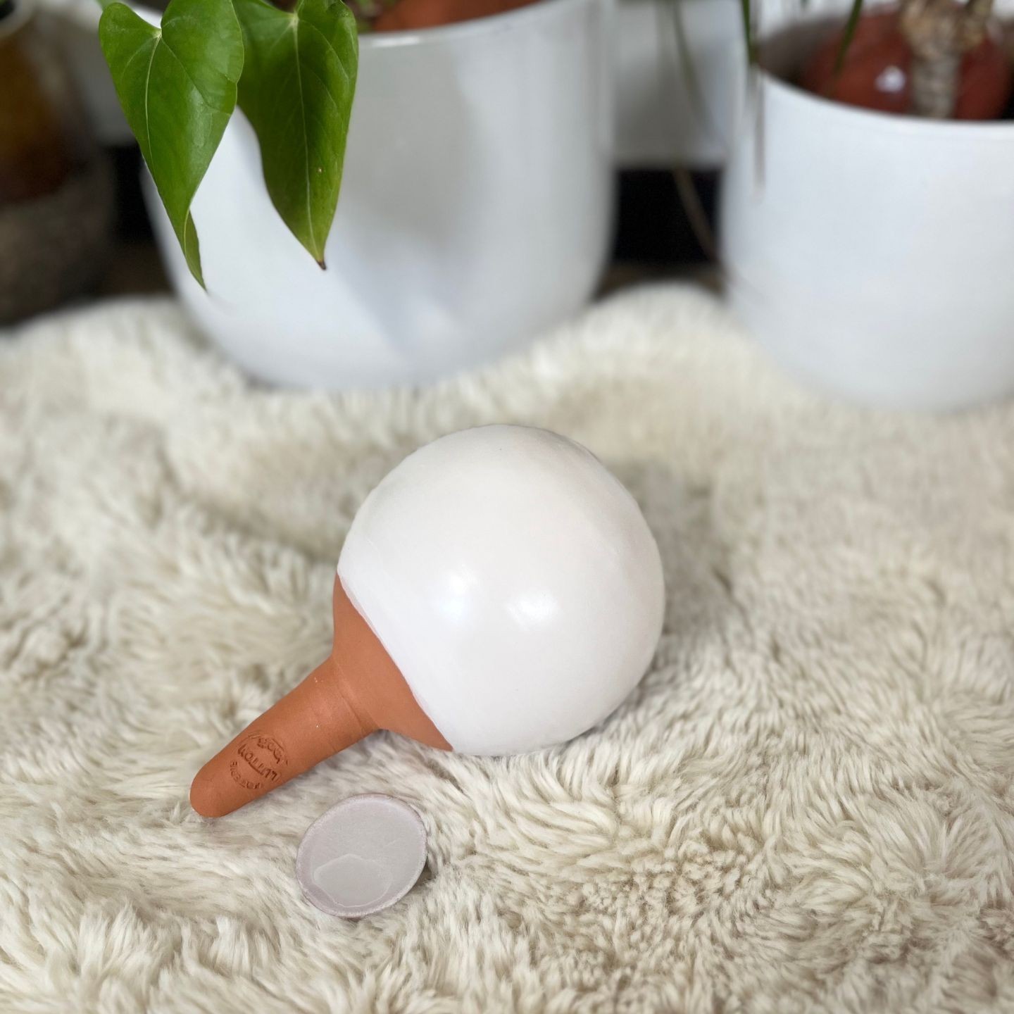 Ollas à planter Glam