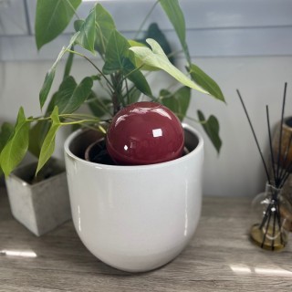 Ollas à planter Glam