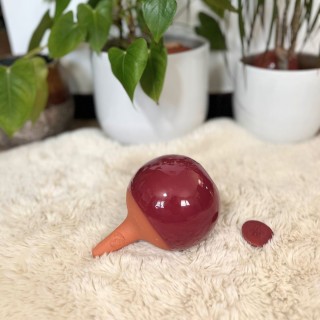 Ollas à planter Glam