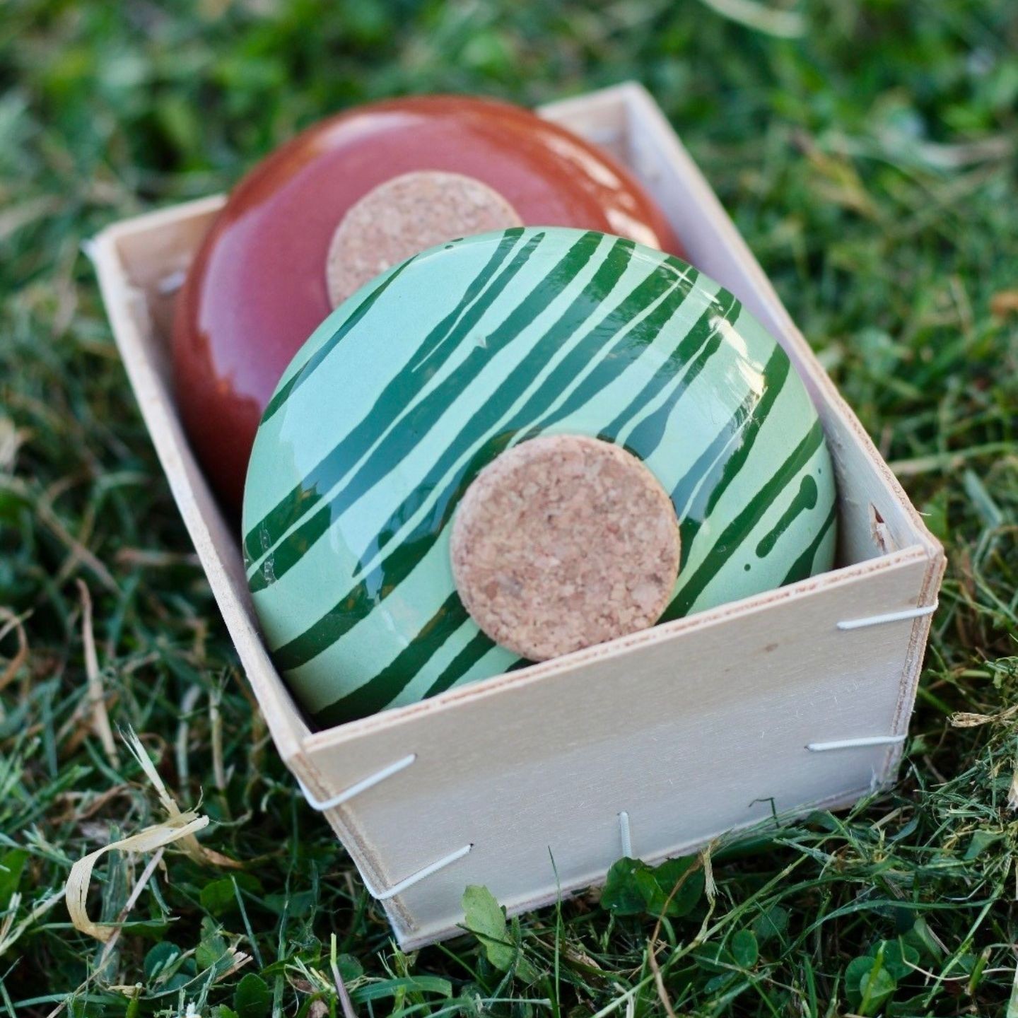 Ollas Galet : L'accessoire d’irrigation naturel pour vos plantes en pot