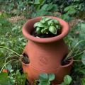 Tour à Fraisier en Poterie Fait Main -  Pour votre Jardin