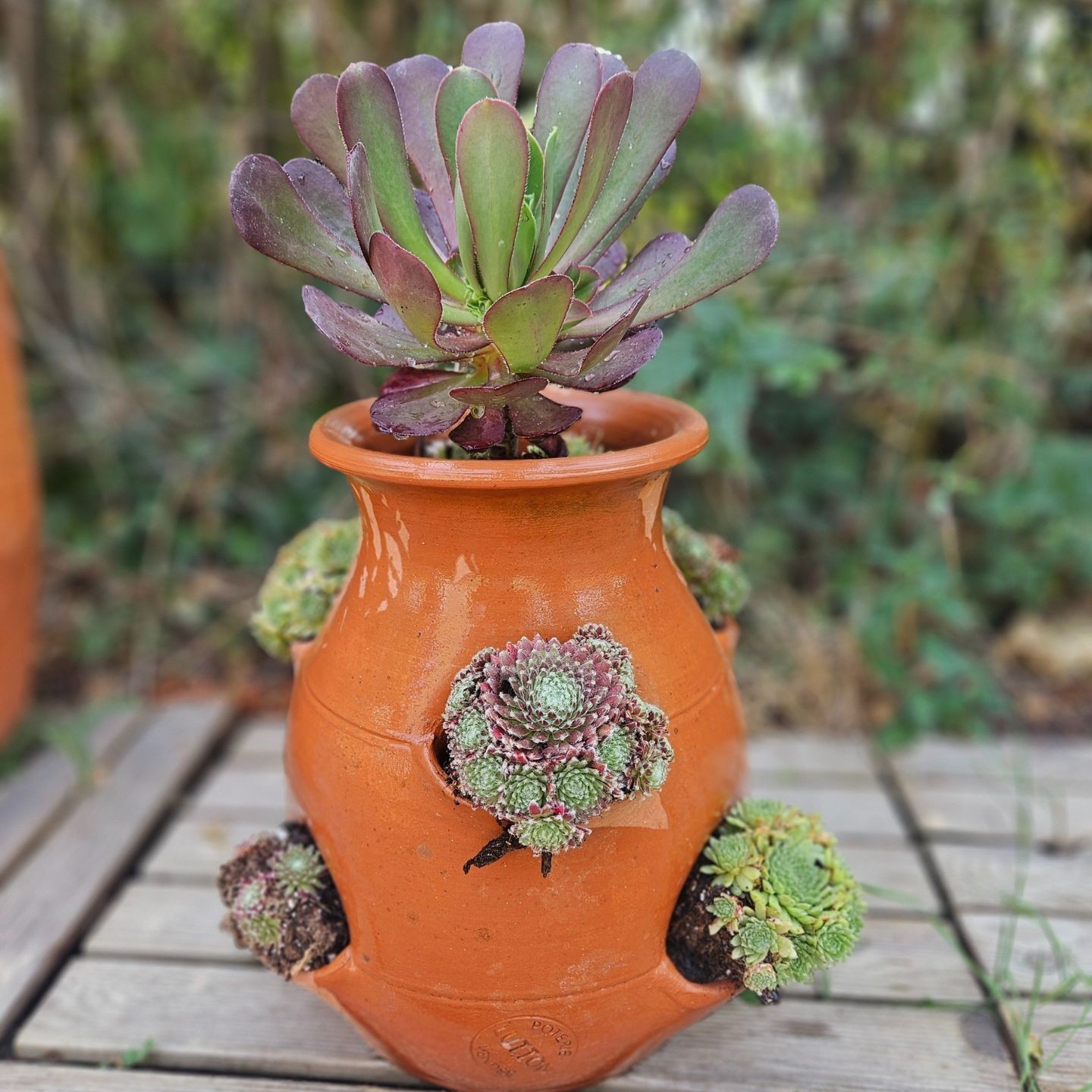 Tour à Fraisier en Poterie Fait Main -  Pour votre Jardin