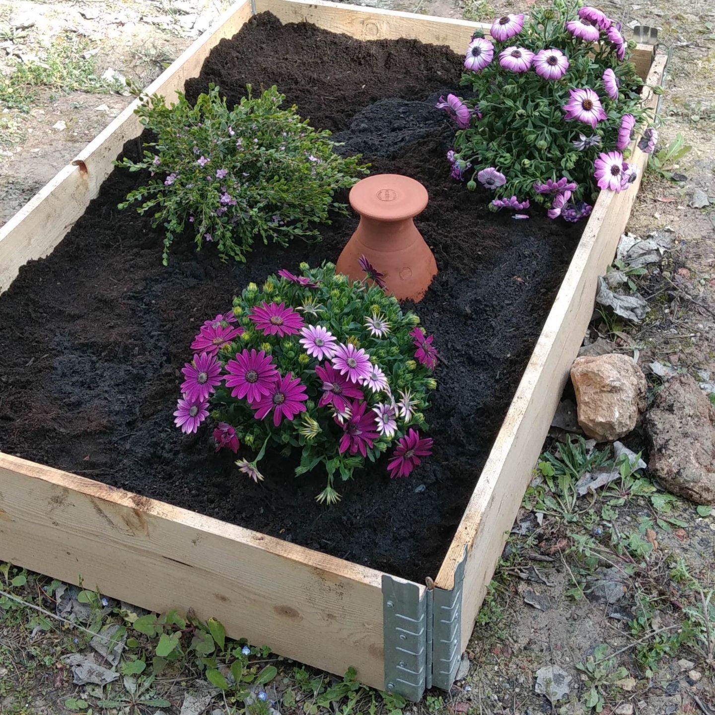 Triple Ollas Potager 1,5 L à Enterrer – Cône à planter offert – Économisez jusqu’à 70 % d’eau
