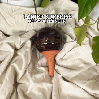 Panier Surprise à Ollas Planter  à un prix imbatable de 14 euros