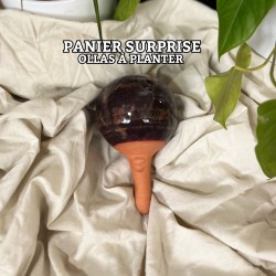 Panier Surprise à Ollas Planter - Idéal pour vous offrir votre propre ollas à plante de 40 cl , à un prix imbatable de 14 euros