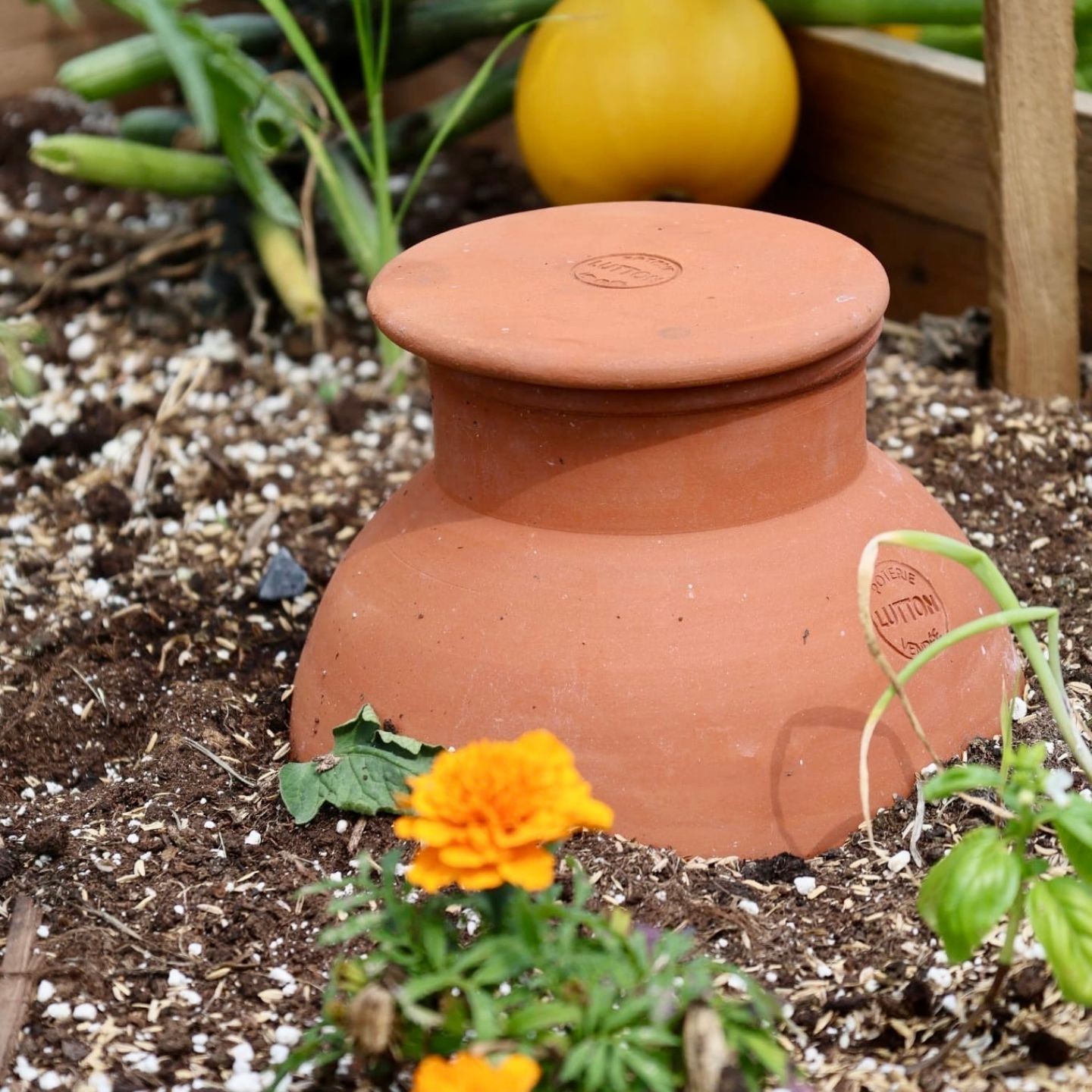 Buried Gardener Ollas – Autonomous irrigation