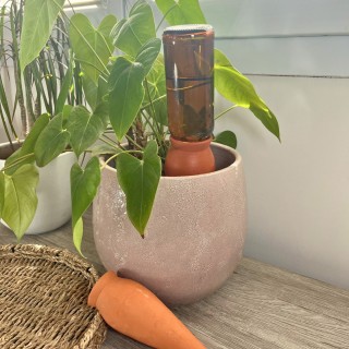 Planting Cone Ollas – French Handmade Pottery | Eco-Friendly Water Diffuser – Ollas Lutton