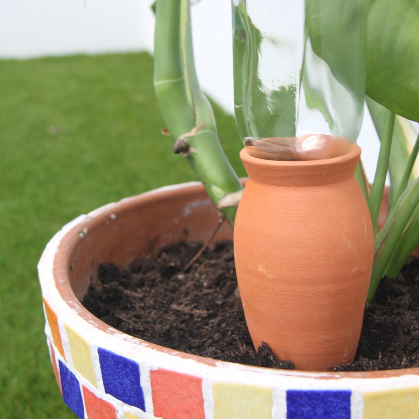 Ollas Cône à planter – Poterie artisanale française | Diffuseur d’eau écologique – Ollas Lutton