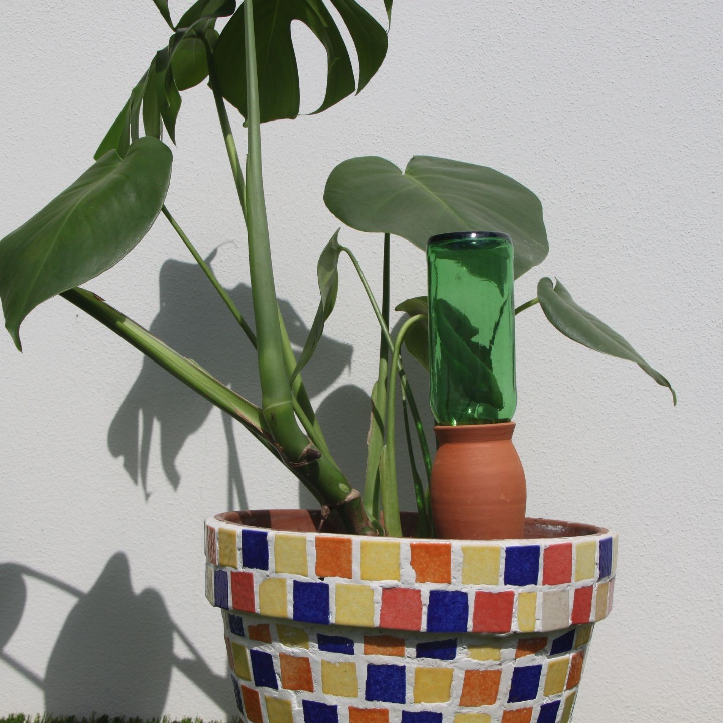 Ollas Cône à planter – Poterie artisanale française | Diffuseur d’eau écologique – Ollas Lutton