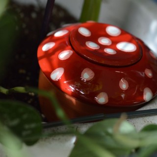 Ollas Bolet : Irrigation Naturelle  - Artisanat Français