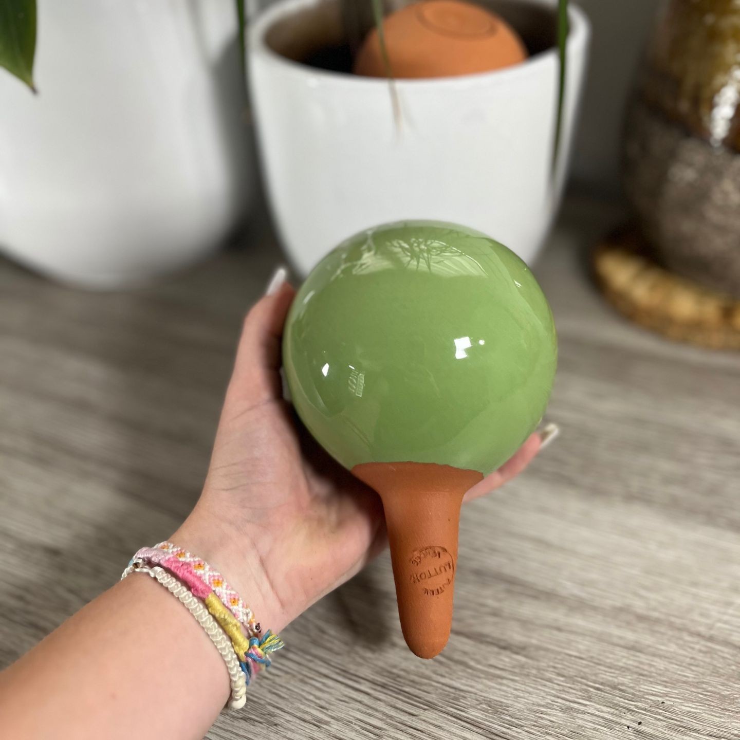 Ollas à Planter Pastel Acheter - Ollas Lutton - Diffuseur d'eau autonome