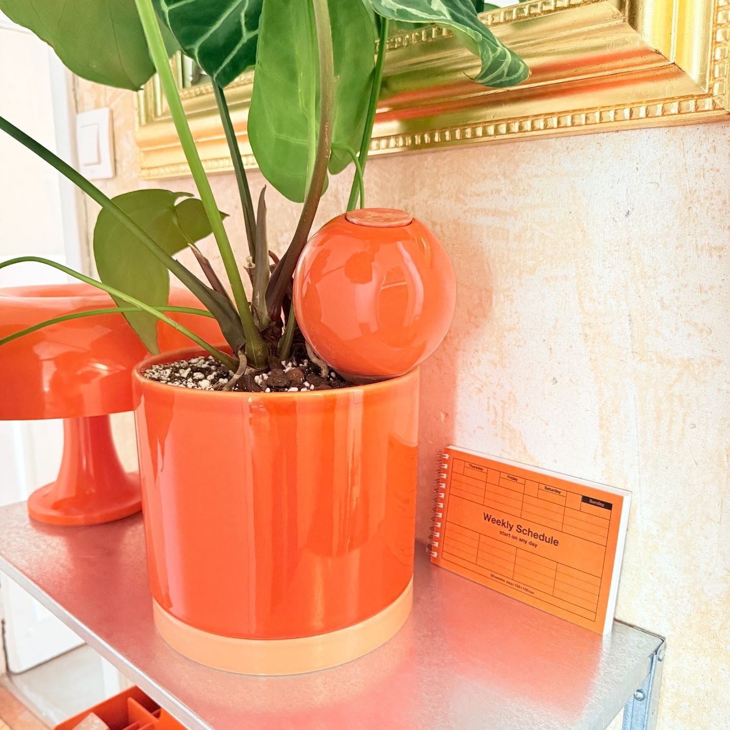 Ollas à Planter Medium -  Fabrication 100% artisanale en Vendée.