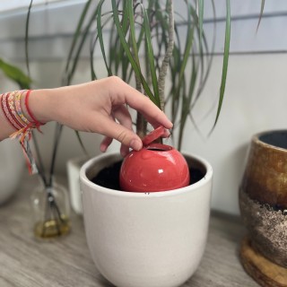 Ollas à Planter Medium -  Fabrication 100% artisanale en Vendée.