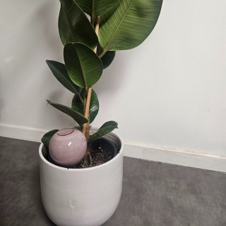 Ollas à Planter Nuancées – Arrosage Écologique et Design Édition Limitée