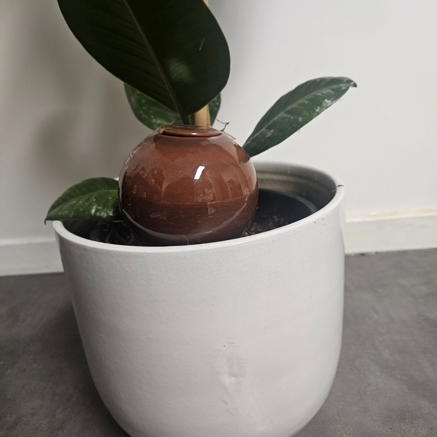 Ollas à Planter Nuancées - Poterie Lutton