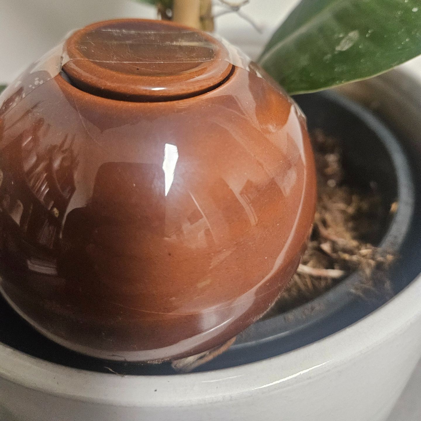 Ollas à Planter Nuancées - Poterie Lutton