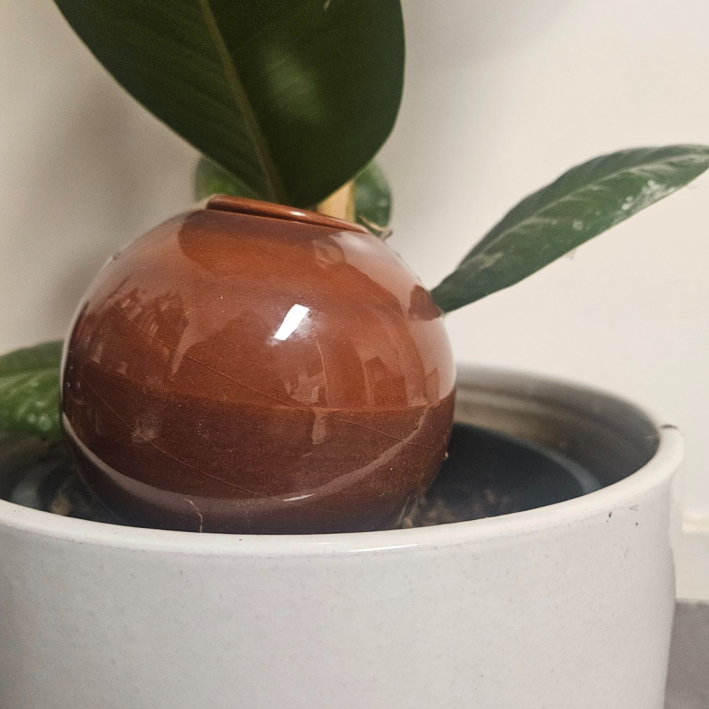 Ollas à Planter Nuancées - Poterie Lutton