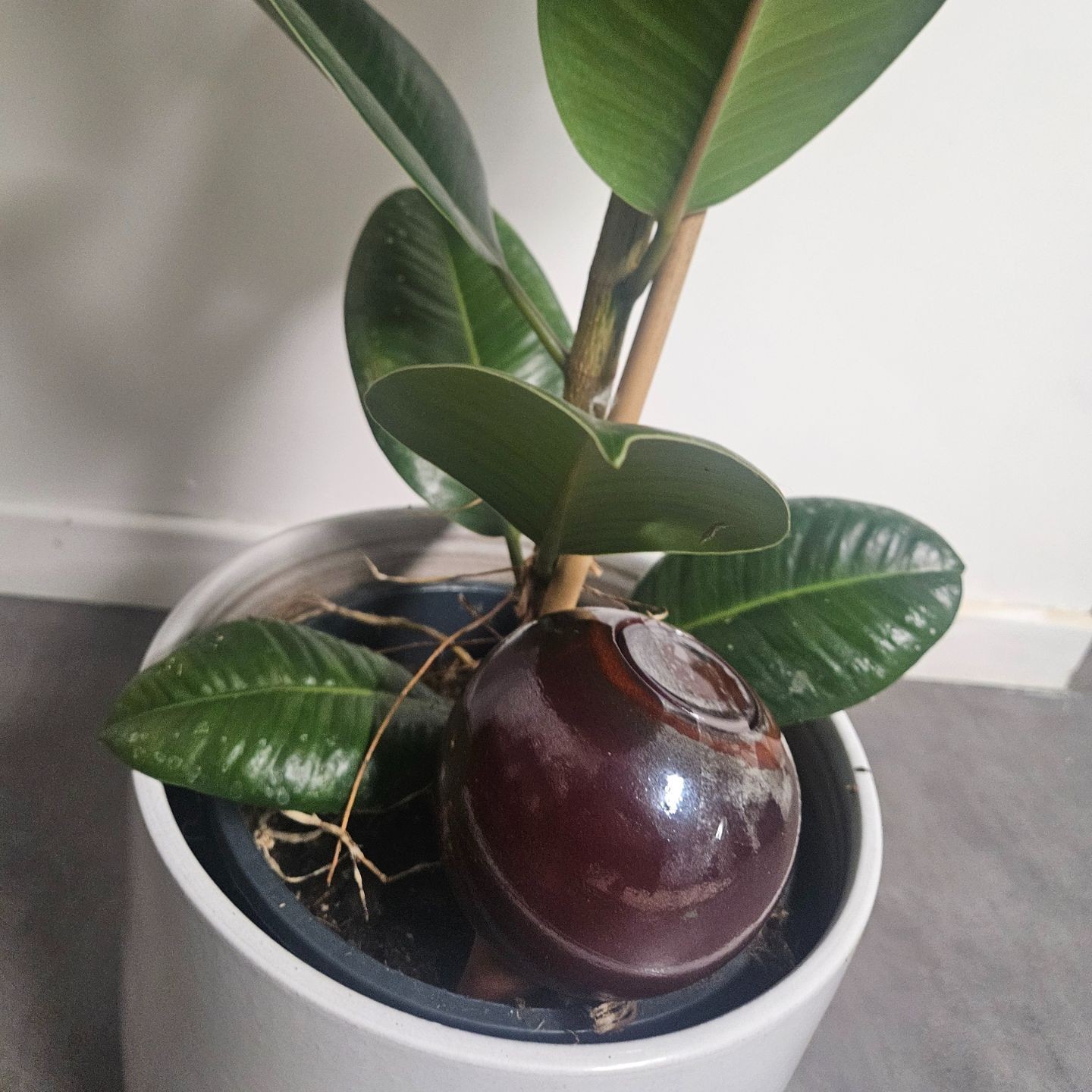 Ollas à Planter Nuancées - Poterie Lutton