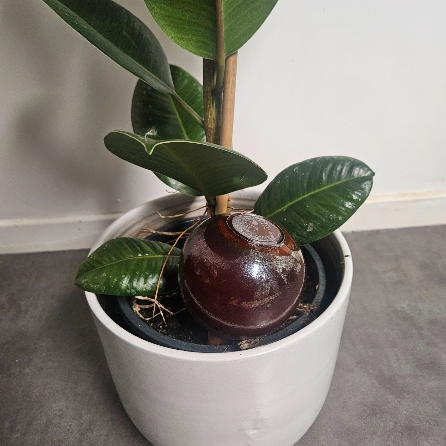 Ollas à Planter Nuancées - Poterie Lutton