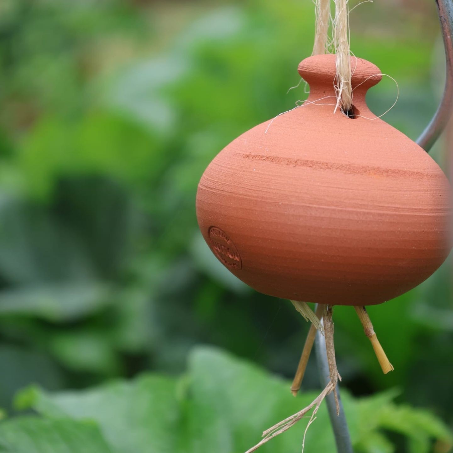 Cocon pour Perce-oreilles - Ollas Lutton