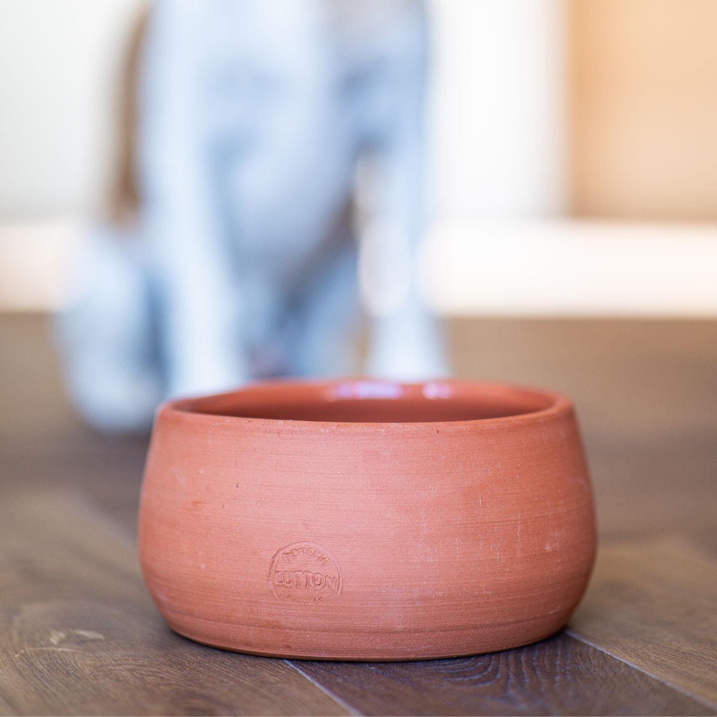 Gamelle en poterie :  le choix sain pour votre chien