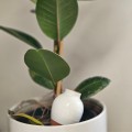 MINI OLLAS A PLANTER SABEUR