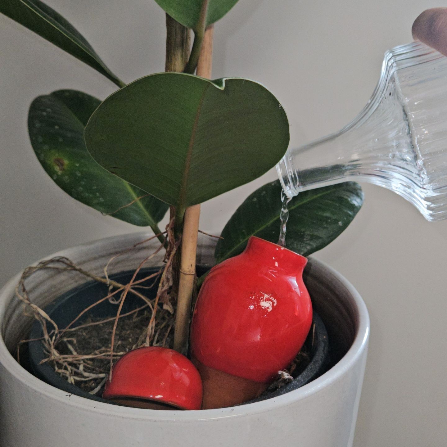 MINI OLLAS A PLANTER SABEUR