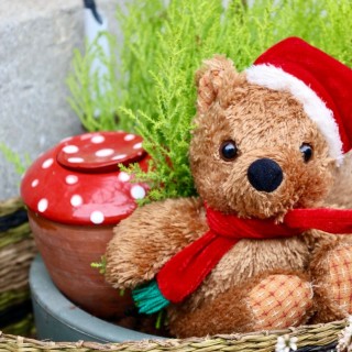 Ollas bolet - Ollas Lutton