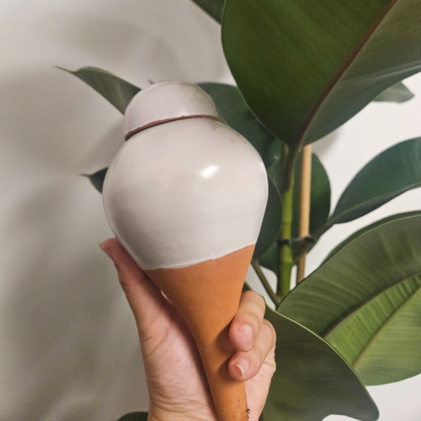 Ollas Sabeur glam à Planter – Arrosage Autonome Design et Écologique