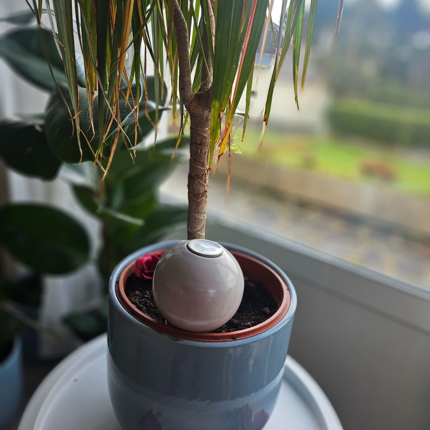 Coffret d’ollas Amore – Cadeau Saint-Valentin Romantique & Écologique