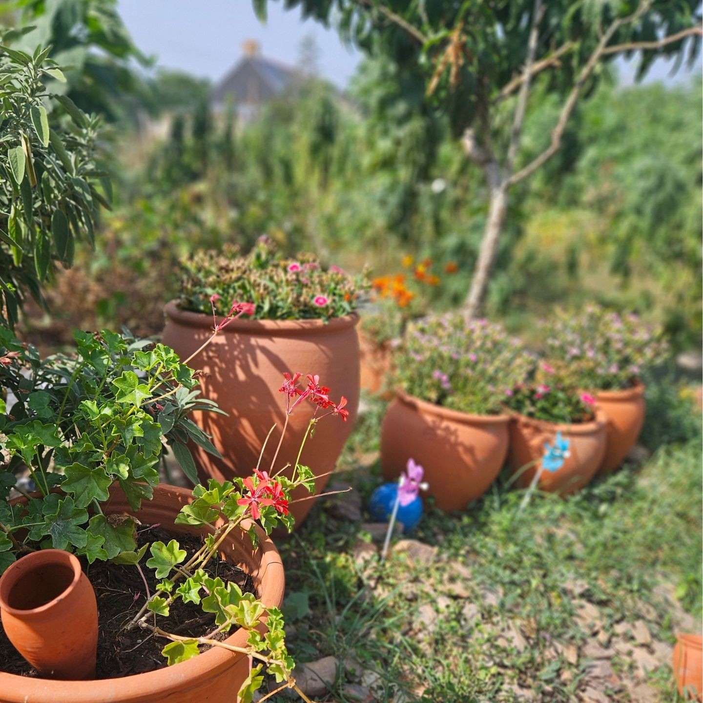 Pot Tradition - Gamme Vendée | Poterie Artisanale Française pour Jardin