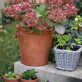 Pot à Oreille en Terre Cuite – Fabriquée en France