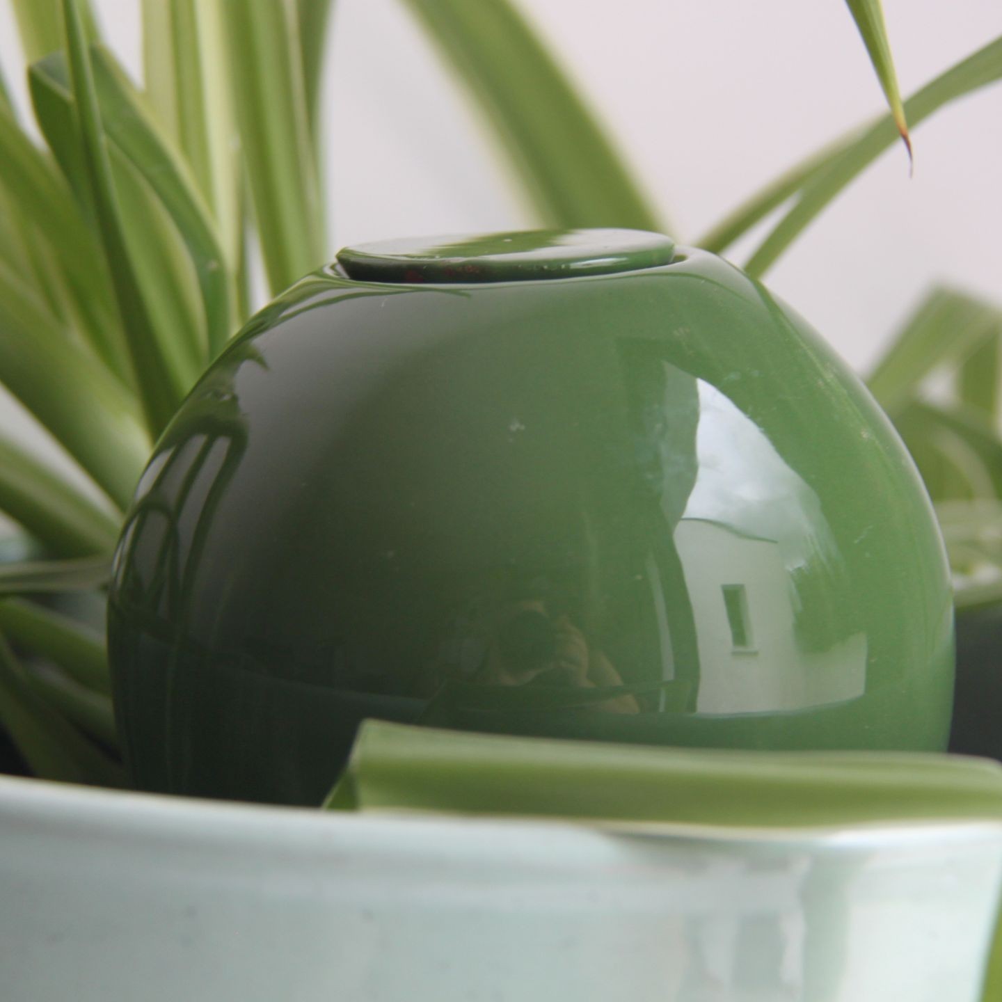 Ollas à Planter Medium -  Fabrication 100% artisanale en Vendée.