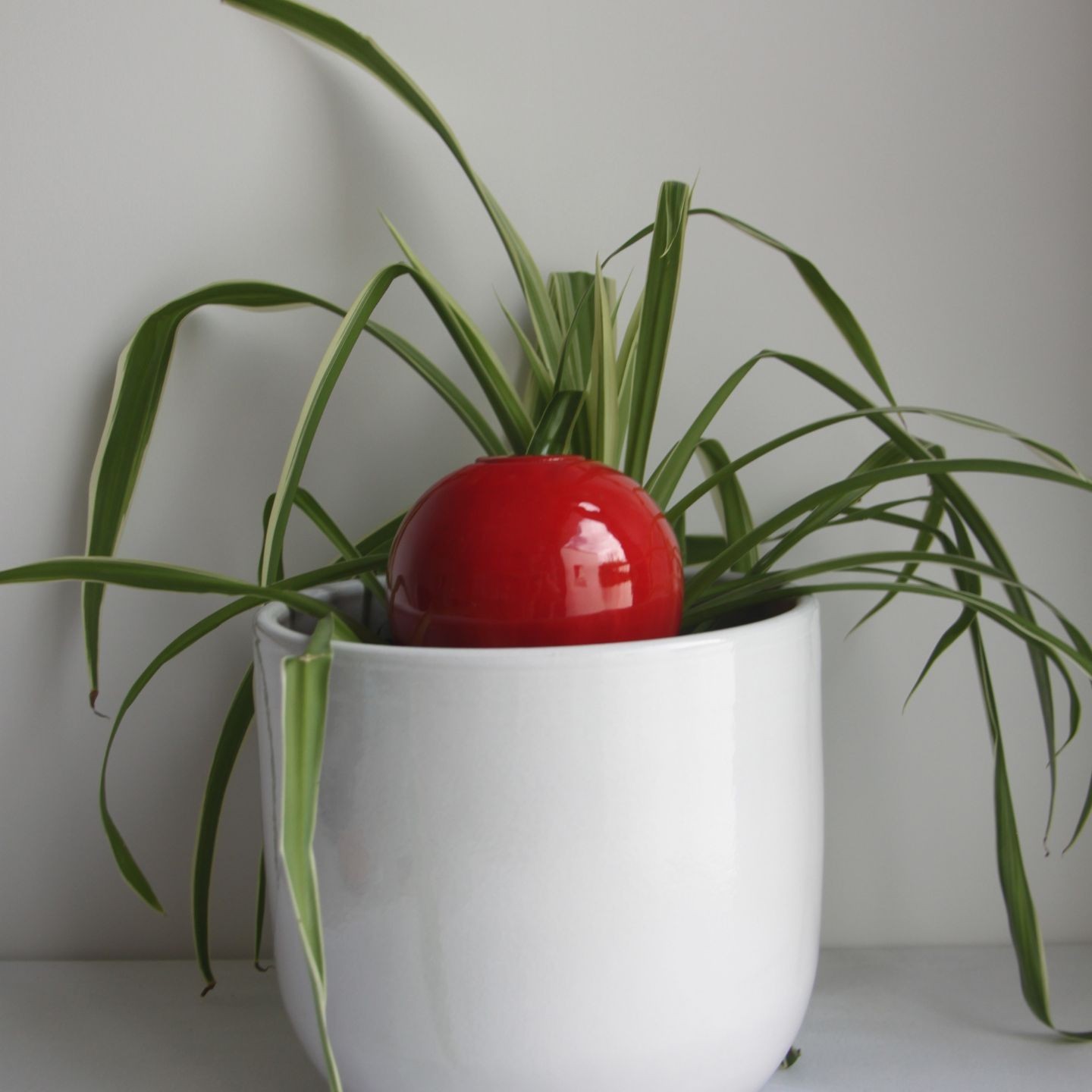 Ollas à Planter Medium -  Fabrication 100% artisanale en Vendée.