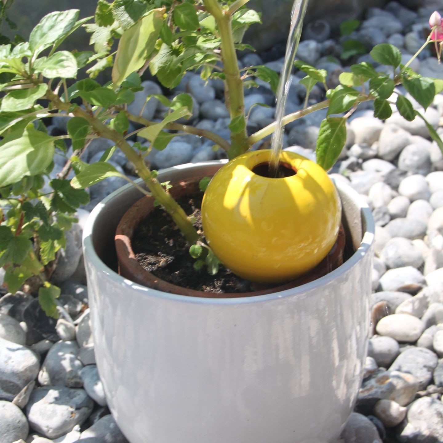 Ollas à Planter Medium -  Fabrication 100% artisanale en Vendée.