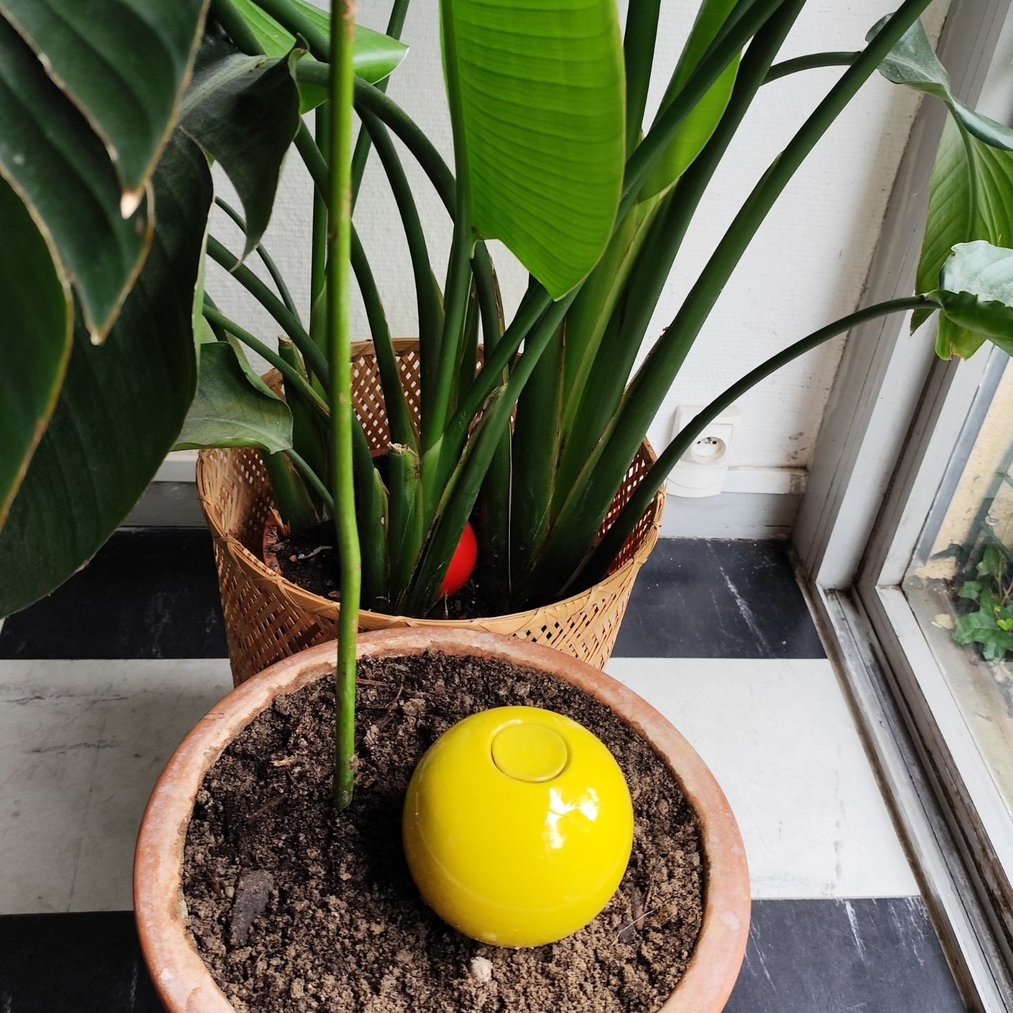 Ollas à Planter Medium -  Fabrication 100% artisanale en Vendée.