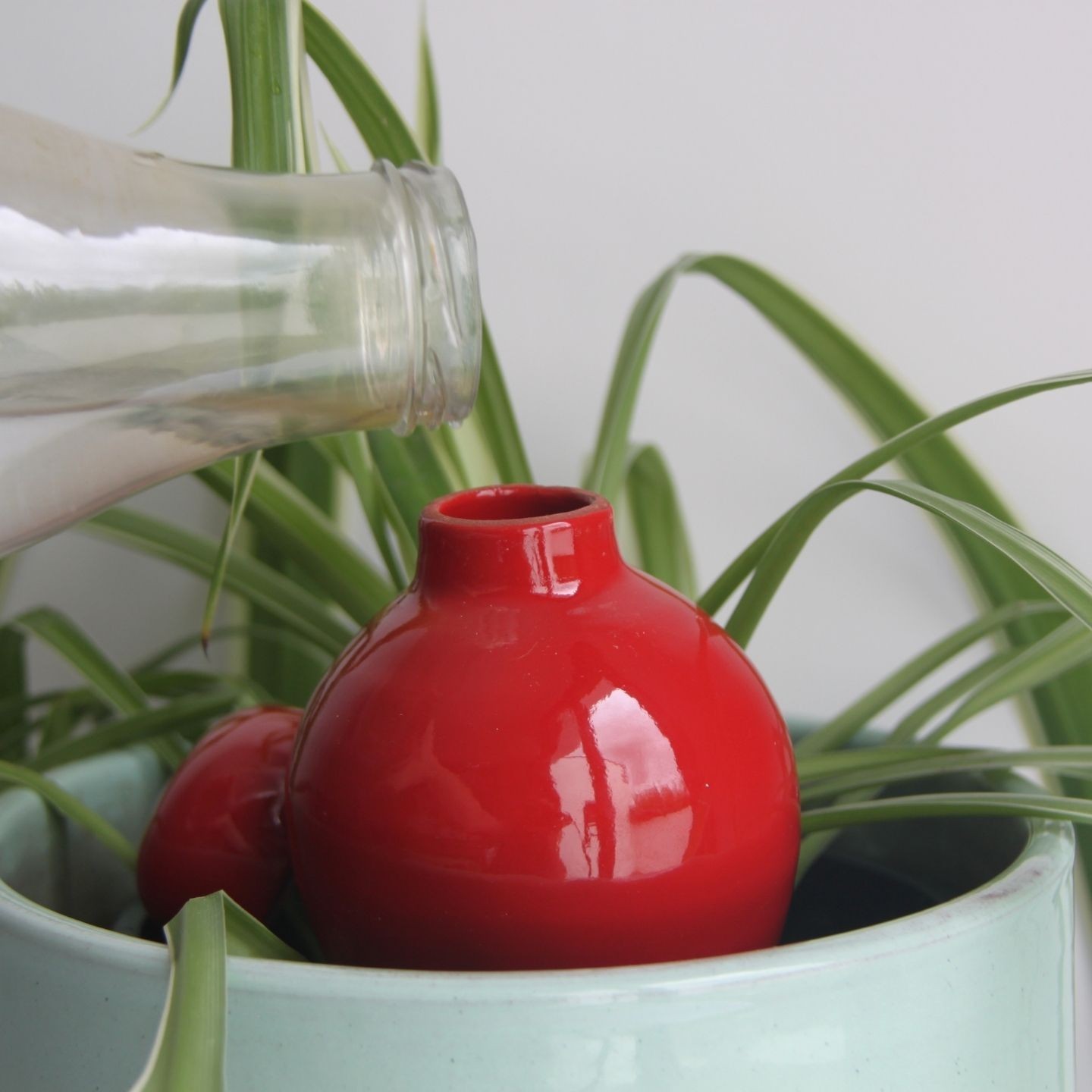 Ollas Sabeur – Ollas Lutton – Autonoomne kastmissüsteem