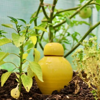 Ollas Sabeur – Ollas Lutton – Autonomni sustav navodnjavanja