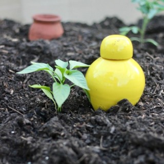 Ollas Sabeur – Ollas Lutton – Self-watering system