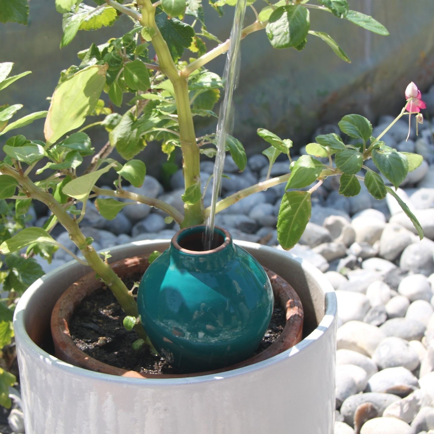 Ollas Sabeur – Ollas Lutton – Autonoomne kastmissüsteem