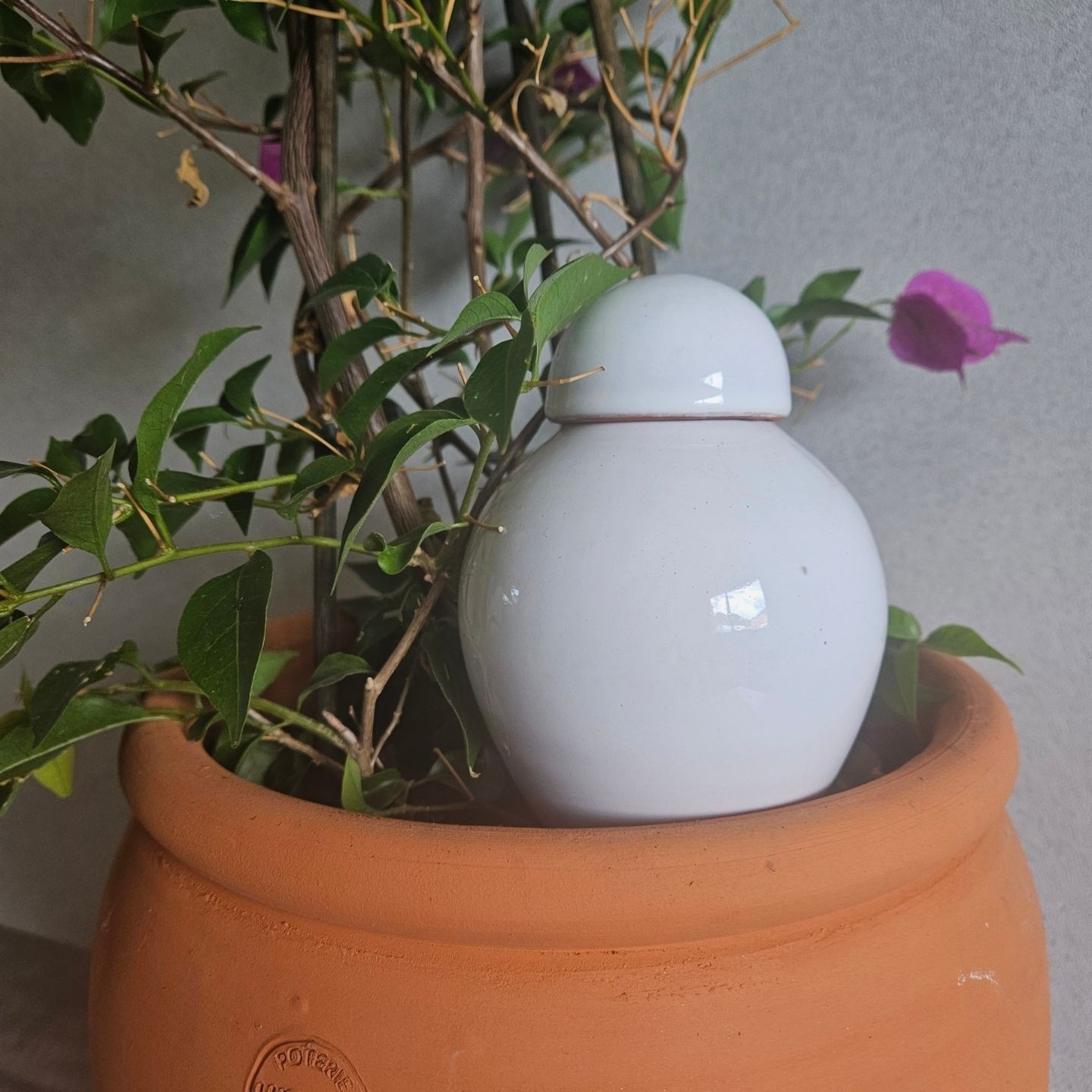 Ollas Sabeur – Ollas Lutton – Autonoomne kastmissüsteem