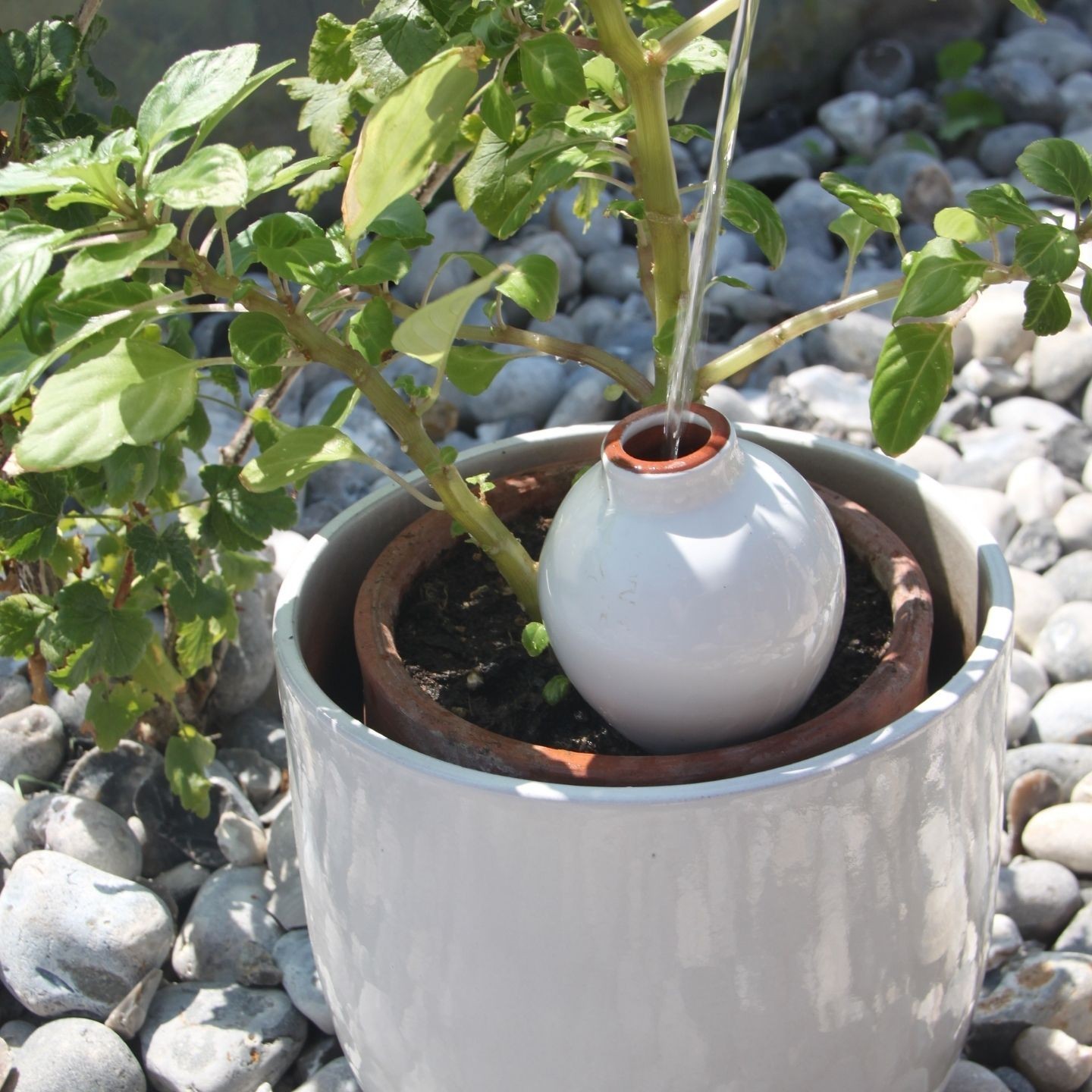 Ollas Sabeur – Ollas Lutton – Autonoomne kastmissüsteem