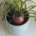 Ollas à Planter Spiral - Irrigation Autonome et Élégant
